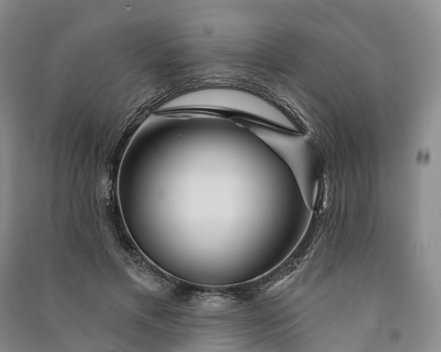 X0000090970597200708161837