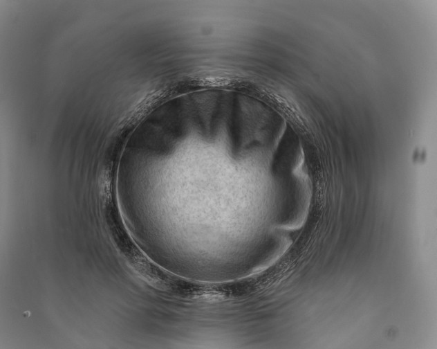 X0000090970598200708161837