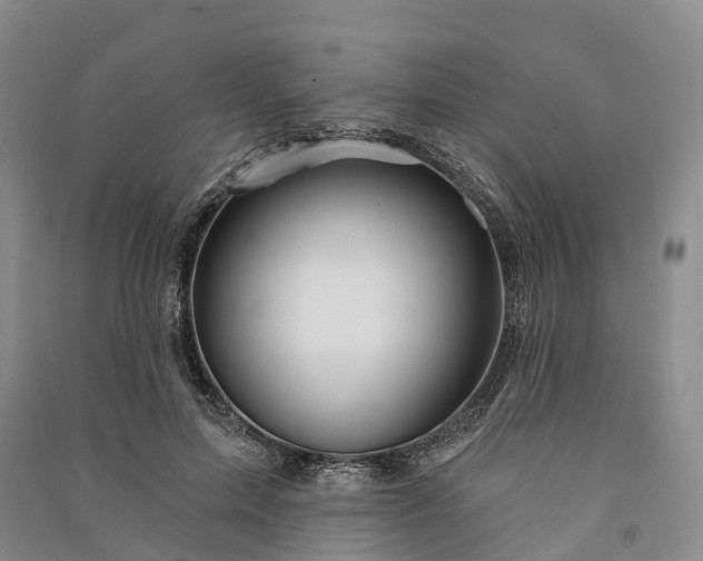 X0000090970599200708161837