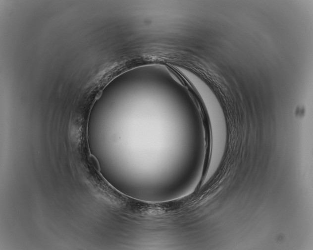 X0000090970600200708161837