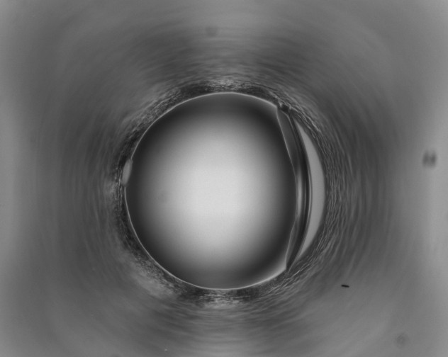 X0000090970601200708161837