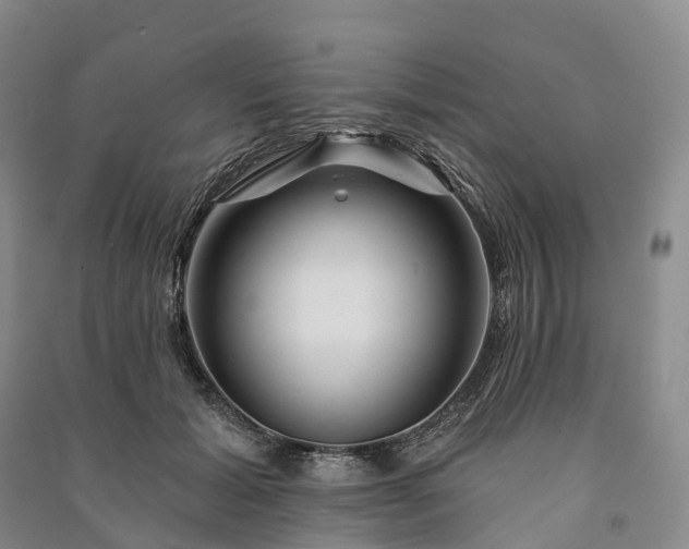 X0000090970605200708161837