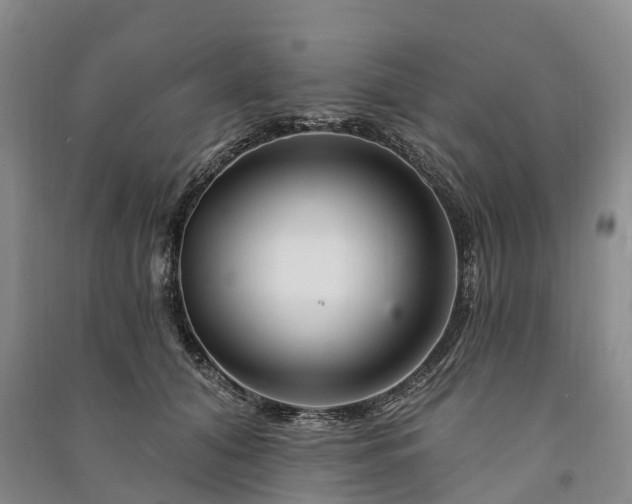 X0000090970608200708161837