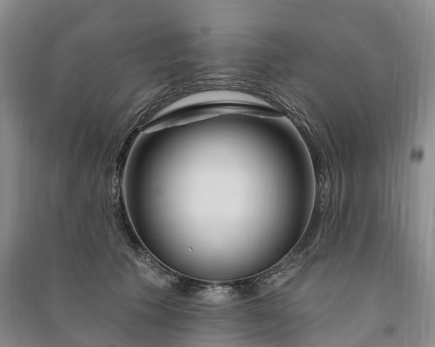 X0000090970609200708161837