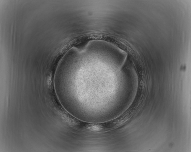 X0000090970610200708161837