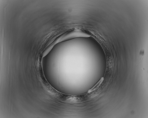 X0000090970611200708161837