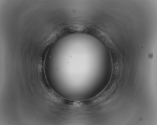 X0000090970612200708161837