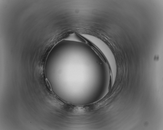 X0000090970613200708161837