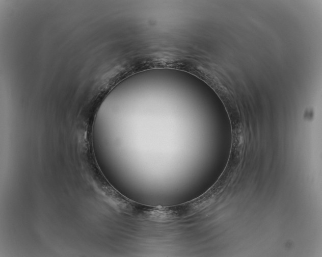 X0000090970615200708161837