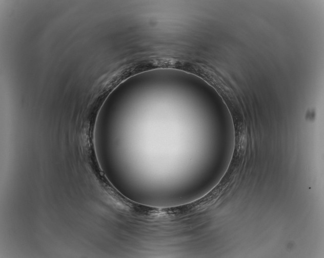 X0000090970616200708161837