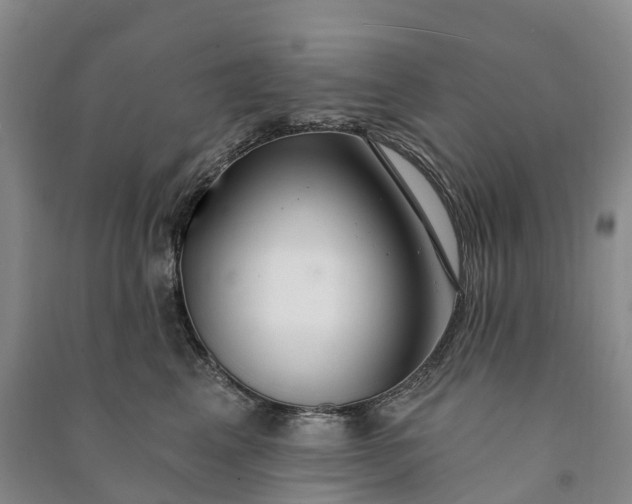 X0000090970617200708161837