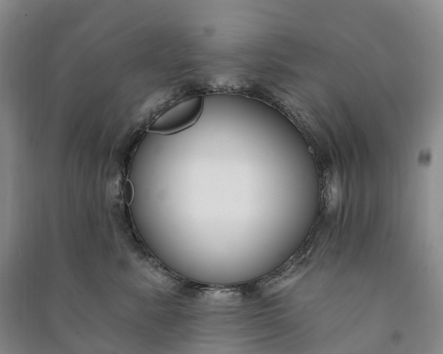 X0000090970619200708161837