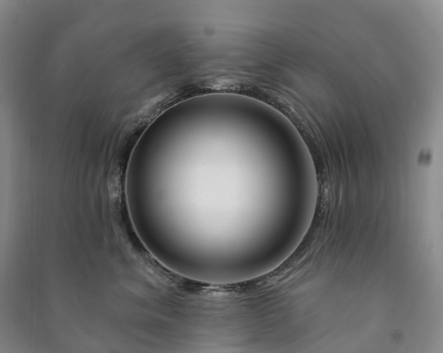 X0000090970620200708161837