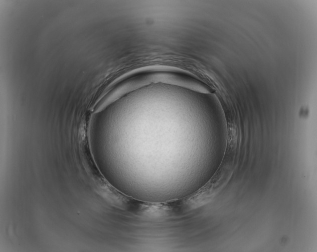 X0000090970621200708161837