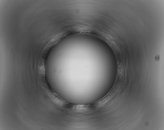 X0000090970622200708161837