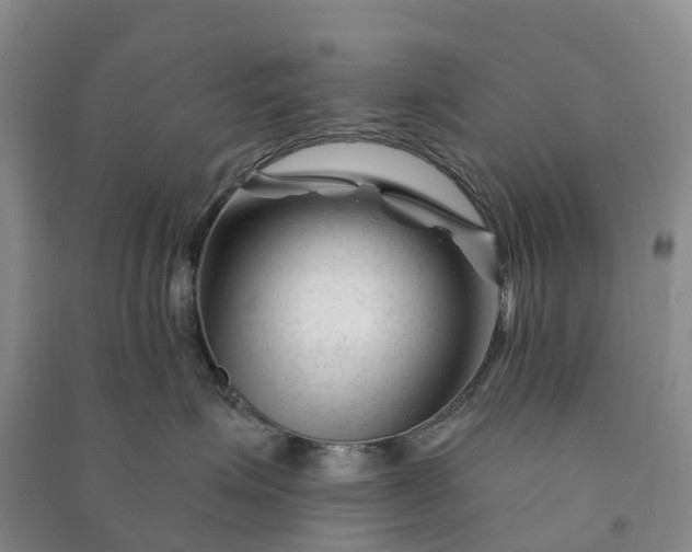 X0000090970623200708161837