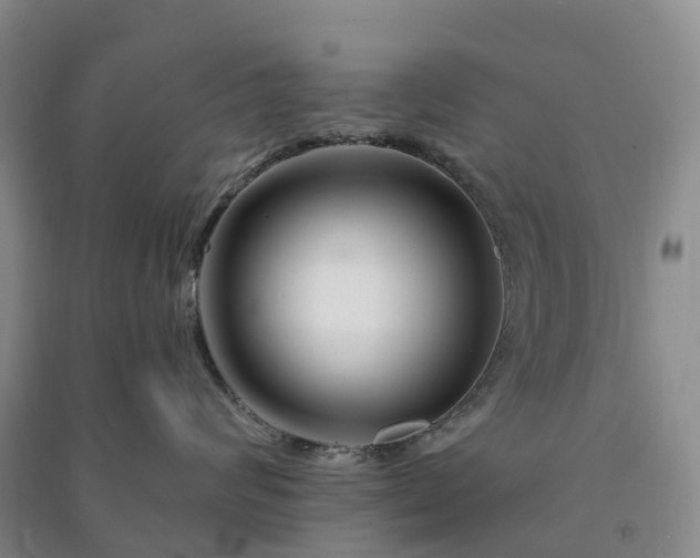 X0000090970624200708161837