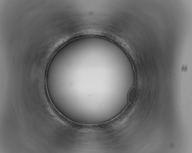 X0000090970625200708161836