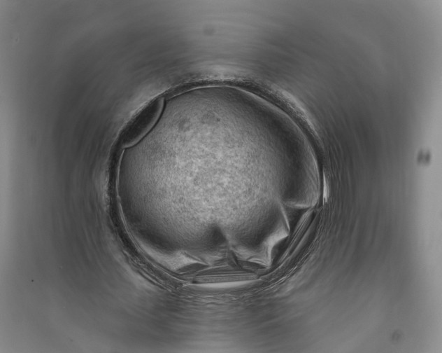 X0000090970627200708161836