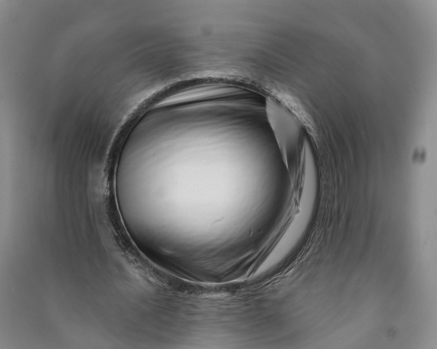 X0000090970628200708161836