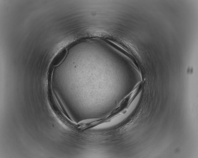 X0000090970630200708161836