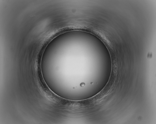 X0000090970631200708161836