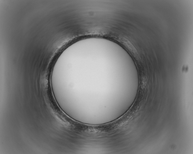 X0000090970632200708161836