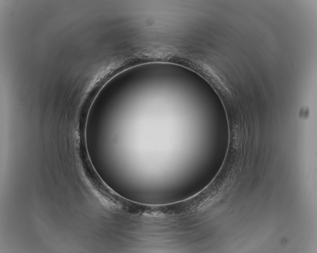 X0000090970634200708161836