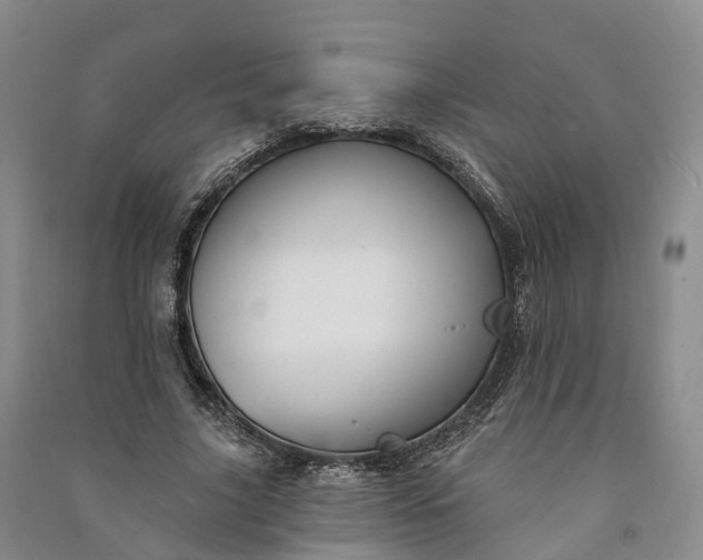 X0000090970635200708161836