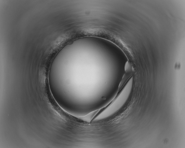 X0000090970637200708161836