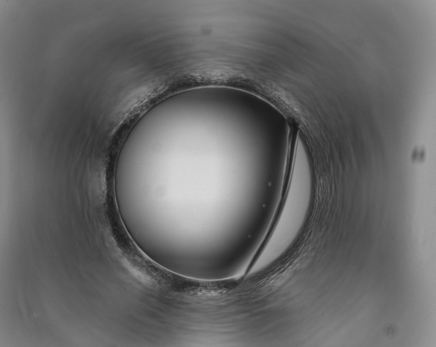 X0000090970638200708161836