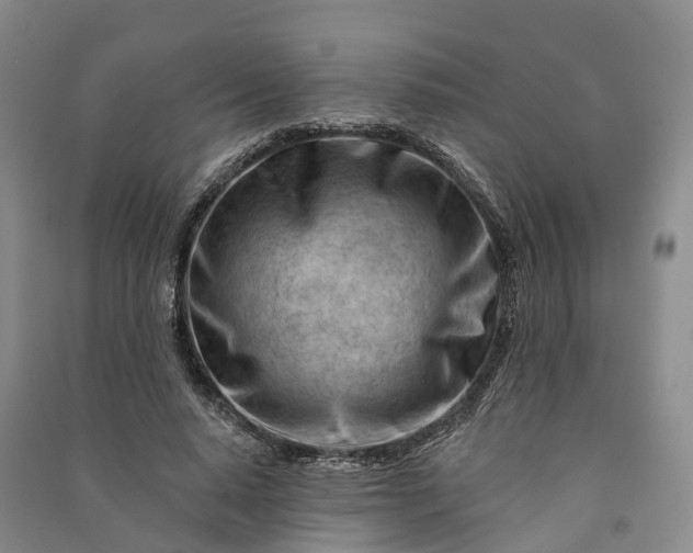 X0000090970640200708161836