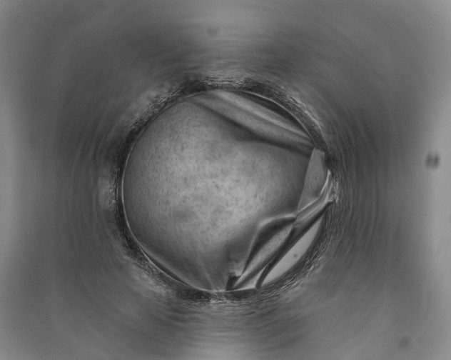 X0000090970641200708161836