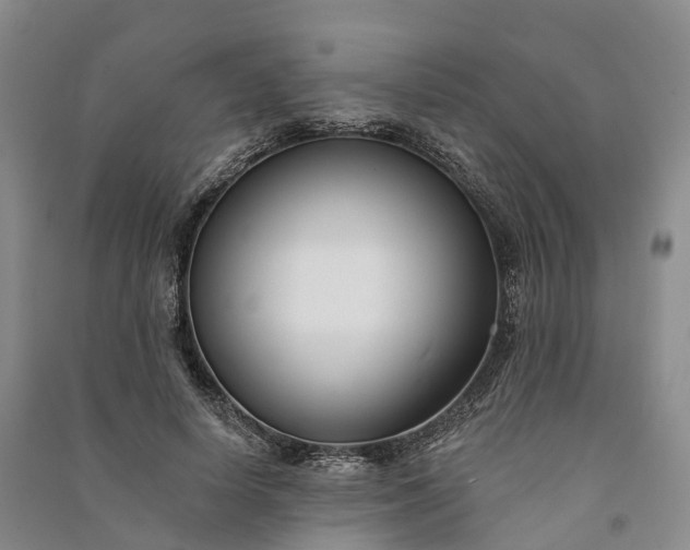 X0000090970642200708161836