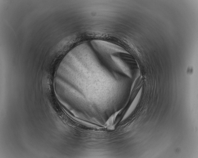 X0000090970643200708161836