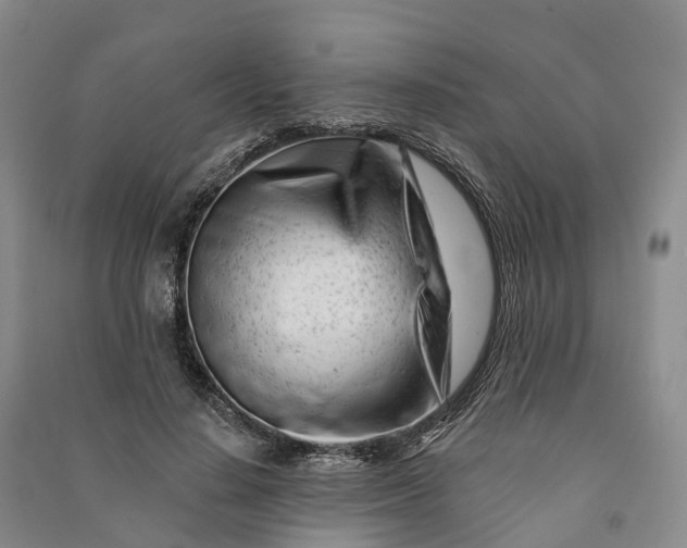 X0000090970644200708161836