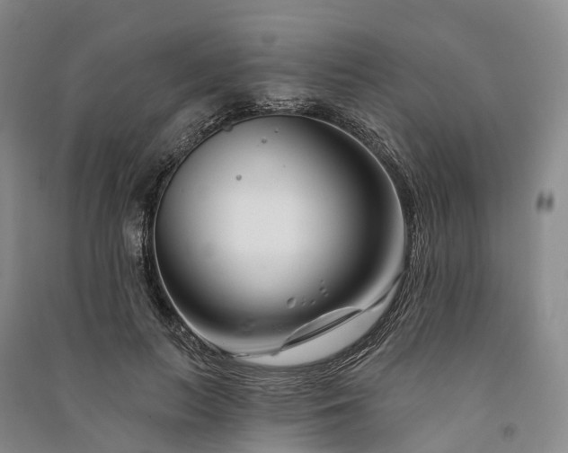 X0000090970647200708161837