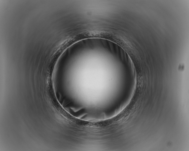 X0000090970648200708161837