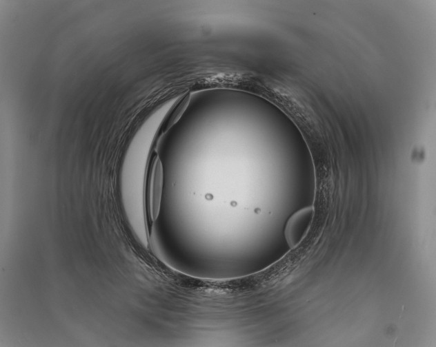 X0000090970649200708161837