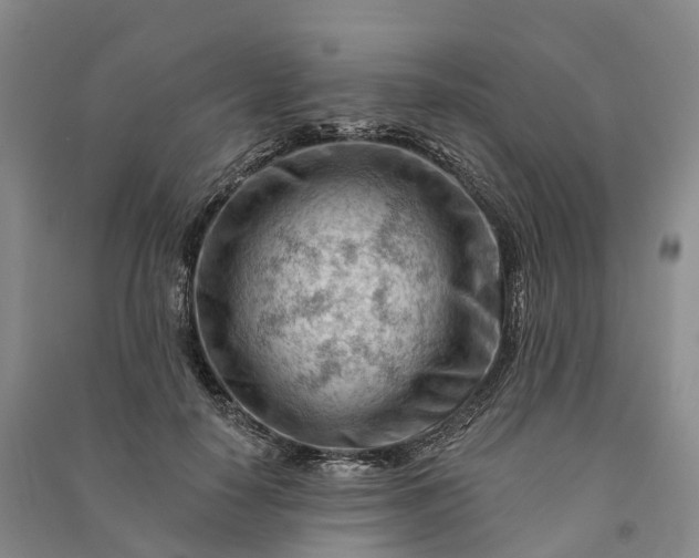 X0000090970650200708161837