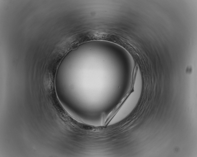 X0000090970651200708161837