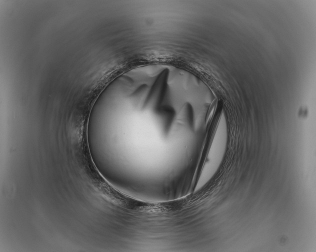 X0000090970652200708161837