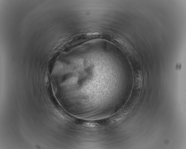 X0000090970654200708161837