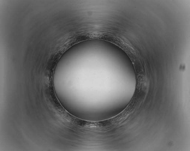 X0000090970655200708161837