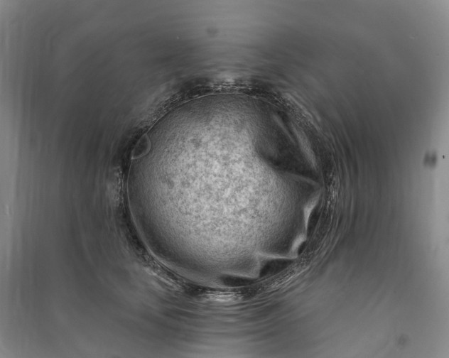 X0000090970659200708161837