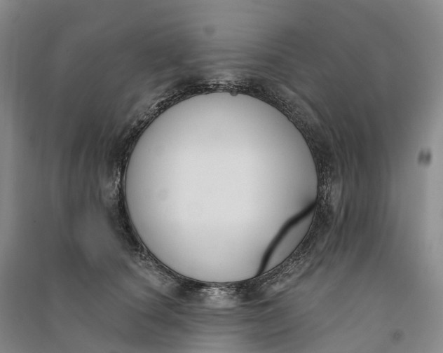 X0000090970660200708161837