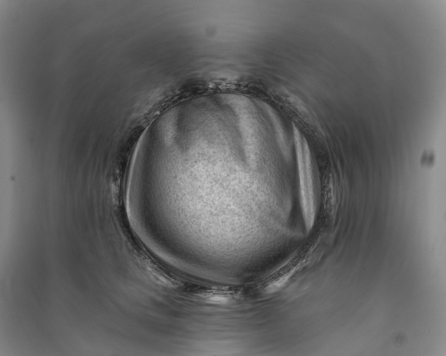 X0000090970661200708161837