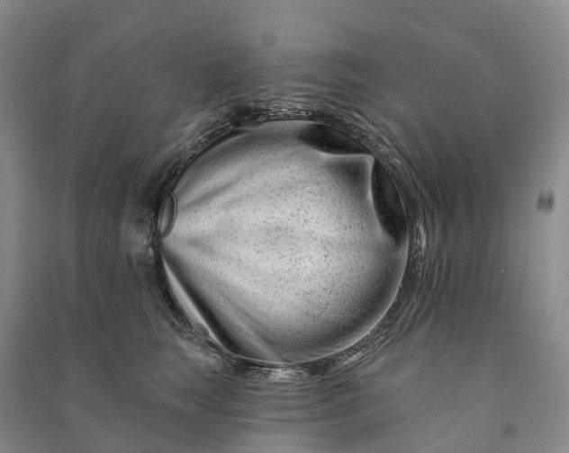 X0000090970663200708161837