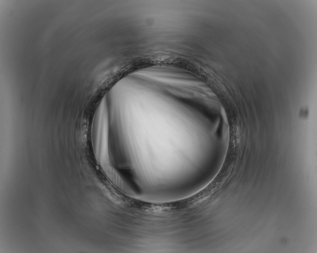 X0000090970664200708161837