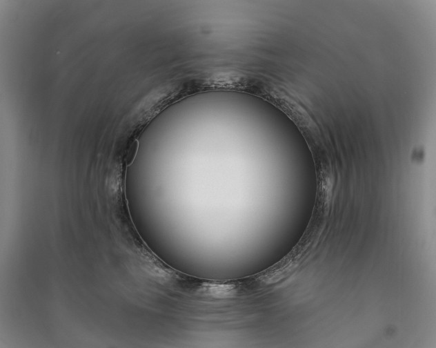 X0000090970665200708161837